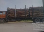 Truk Pengangkut Kayu Akasia Arara Abadi Diduga Melanggar Aturan Pembatasan Lalulintas Lebaran Hingga Menewaskan Pemotor