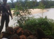 Polsek Kuantan Mudik Berhasil Ungkap Kasus Pencurian Buah Kelapa Sawit