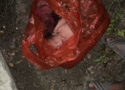 Sadis Seorang Ibu Tega Membuang Bayinya Ditepi Jalan Dengan Terbungkus Plastik