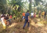 Seorang Jenazah Pria di Rokan Hulu Ditemukan Tewas di Kebun Warga