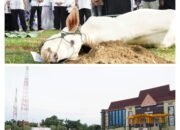 Idul Adha 1445 H Tahun 2024, Polda Riau Serahkan 32 Sapi Limosin dan 20 Ekor Kambing