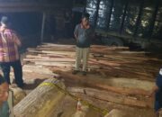 Polres Kampar Ungkap kasus illegal logging di Sawmill Terbesar diwilayah hukumnya