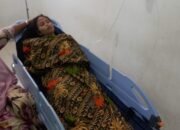 Sekretaris DPC LSM Penjara Rohul Minta Bupati H Sukiman Segera Copot Dirut RSUD Pasir Pangaraian