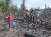 Pria Ditangkap Usai Bakar Lahan Milik PT Pertamina Hulu Rokan untuk Tanam Sayuran