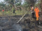 Satgas Karhutla Siak Hulu di Hari ke 5 Berjibaku Padam dan Pendinginan kebakaran Lahan di Pangkalan Baru