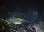 Si Jago Merah Mengamuk, Rumah Nenek Saruna  Hangus Terbakar