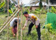 Bripka Dendi Z, “Bhabinkamtibmas Inspiratif”  Sukses Dorong Ketahanan Pangan di Desa IV Koto Setingkai