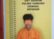 Kasus Penadahan Di Tambusai Barat Terungkap ,Polsek Tambusai Tangkap Pelaku