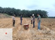 Polsek Singingi Hilir Cek Persiapan Lahan Produktif Monokultur Dukung Program ASTA CITA Presiden