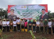 Dukung Ketahanan Pangan Nasional, Lapas Pasir Pangaraian Ikuti Panen Raya Jagung Serentak Tahap I