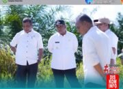 Bupati Rohul Anton S.T, MM Tinjau Perbaikan Jembatan Penghubung Di Kota Lama