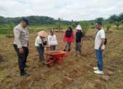 Polsek Hulu Kuantan Cek Pengolahan Lahan Tumpang Sari PT Udaya Lohjinawi di Desa Serosah Dukung Program ASTA CITA Presiden RI