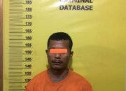 Pemantauan Secara Intensif; Dibawah Pimpinan AKP Roby Polsek Ujung Batu Berhasil Ungkap Kasus Narkotika