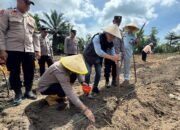 Polsek Bukit Kapur Tanam Jagung Pipil, Dukung Ketahanan Pangan Nasional