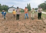 Dukung Ketahanan Pangan, Bhabinkamtibmas Bersama PT. AIP Tanam Jagung di Area 1 Heaktar