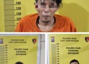 3 Pelaku Kasus Narkotika Jenis Daun Ganja Diciduk oleh Sat Narkoba Polres Siak