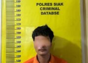 Pelaku Pencabulan Anak dan membawa Pergi anak di Bawah Umur Tanpa Izin Diamankan Polsek Kandis