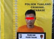 Pelaku Pencurian Berondolan Buah Kelapa Sawit di Amankan