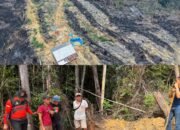 Polres Rohul Tangkap Pelaku Pembakaran Lahan di Hutan Produksi Terbatas (HPT) Tanjung Medan