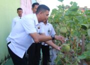 Lapas Pekanbaru Panen 62 Kg Melon, Bukti Pembinaan Kemandirian Berjalan Efektif