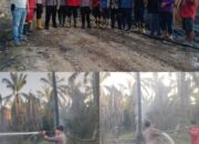 Kebakaran Lahan di Desa Tapung Jaya, Kapolsek Tandun Turun ke TKP