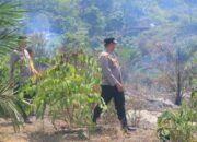 Sinergi Tanggap Karhutla, Kapolres Kampar Cek Titik Api di Perbatasan 50 Kota
