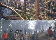 Api Membara di Perbukitan, Wakapolda Riau dan Bupati Rohul Turun Hadang Karhutla