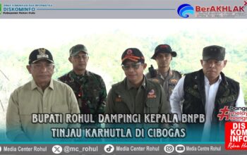 Kepala BNPB Pusat didampingi Bupati Rohul Anton Tinjau Karhutla di Cipogas
