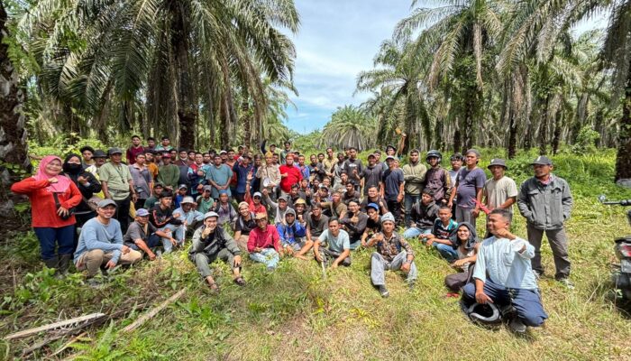Tanah Ulayat Dipertahankan! Ratusan Anak Kemenakan Rantau Kasai Turun ke Kawasan PT. Torganda