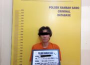 Tidak Berkutik! Pelaku Pembobolan Toko Ponsel Diciduk Tim Polsek Rambah Samo Bersama Barang Bukti