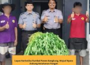Warga Binaan Lapas Narkotika Rumbai Terlibat Aktif dalam Panen Kangkung untuk Ketahanan Pangan