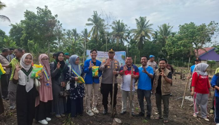 Polsek Rambah Hilir Tanam Jagung di Desa Sejati, Dukung Ketahanan Pangan