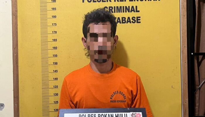 Tak Berkutik! Pencurian Berondolan di PT. PSA di Tangkap Polsek Kepenuhan