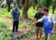 Warga Desak PT KSM Angkat Pipa Land Aplikasi