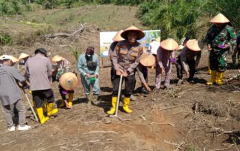 Polsek Rambah Samo Gandeng Pemdes Teluk Aur Gelar Penanaman Jagung, Dukung Swasembada Pangan Nasional