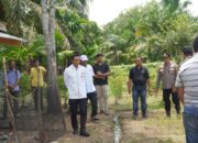 Kapolres Rokan Hulu Tinjau Lahan dan Cek pH Tanah untuk Penanaman Jagung di Kecamatan Rambah Hilir