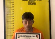 Modus Pinjam Motor Temannya Ternyata Untuk Dijual, Polsek Tambusai Utara Tangkap Pelaku
