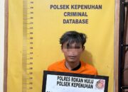 Ketahuan Gelapkan Berondolan Sawit, Karyawan PT PISP II Diamankan Polsek Kepenuhan