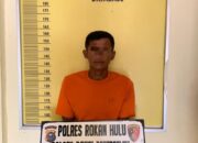 Dua Pelaku Pencuria Sawit Di Desa Bonai Berhasil Ditangkap Polsek Bonai Darussalam