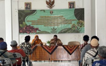 Dinas Ketahanan Pangan dan Pertanian Ngawi Sosialisasikan Bantuan Bibit Cengkeh dari DBHCHT 2025