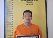 Tusuk Korban dengan Pisau, Pelaku Kekerasan Bersama di Tambusai Utara Ditangkap Polisi