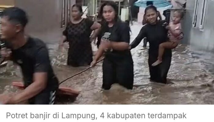 Empat Kabupaten di Lampung Dilanda Bencana Beruntun: Banjir, Longsor, hingga Puting Beliung