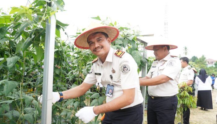 Panen Raya Nasional di Rutan Pekanbaru, Wujud Pembinaan Warga Binaan dan Dukungan Ketahanan Pangan