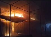 Kebakaran Madiun: Api Menghanguskan Pasar Burung, Puluhan Burung Tewas