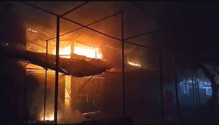 Kebakaran Madiun: Api Menghanguskan Pasar Burung, Puluhan Burung Tewas