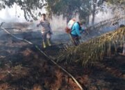 Gerak Cepat Polsek Bungaraya Padamkan Titik Api di Kampung Benayah, Karhutla Berhasil Dikendalikan