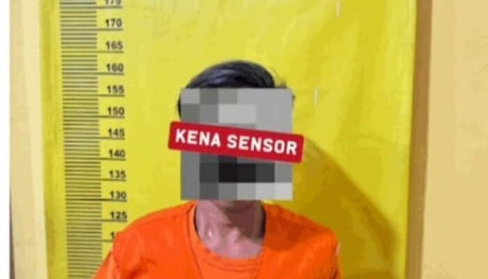 Tertangkap Tangan ! Pria Bengkalis Diciduk Saat Mencuri 82 Janjang Sawit di Dumai
