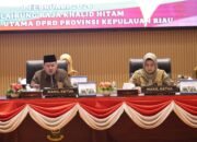 DPRD Kepri Tetapkan Pansus RTRW, Susunan Lengkap Diumumkan di Paripurna