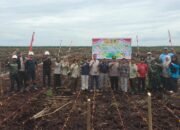 Polsek Tualang Tanam Jagung 5 Hektare, Dukung Program Presiden Wujudkan Swasembada Pangan 2026