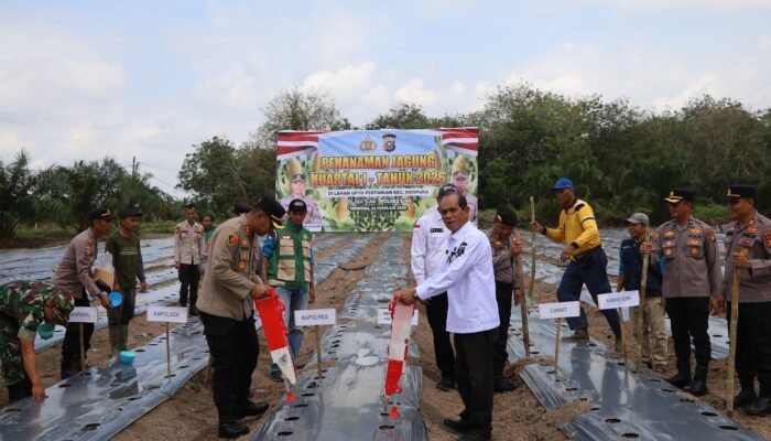Polres Siak Tanam Jagung 2 Hektare di Mempura, Dukung Program Presiden Wujudkan Ketahanan Pangan
